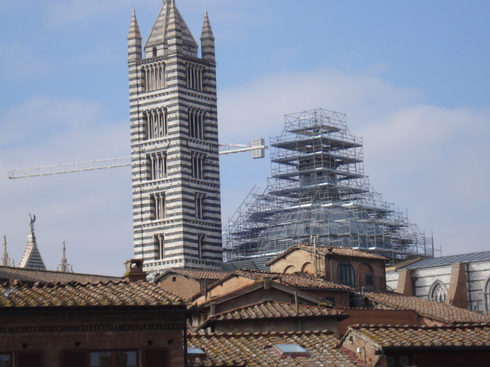 Restauro cupola – Duomo di S. Maria Assunta – Siena